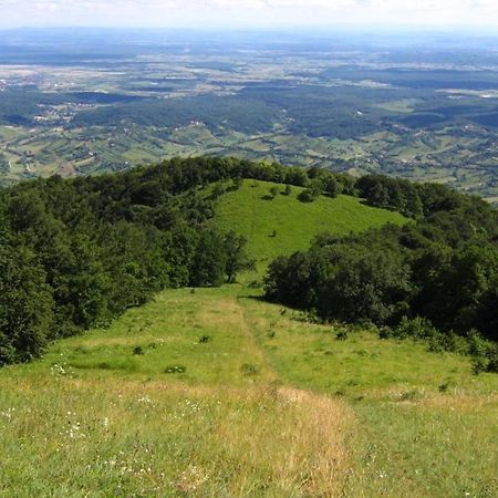 Klet Jana Bed & Breakfast Jasztrebarszka Kültér fotó