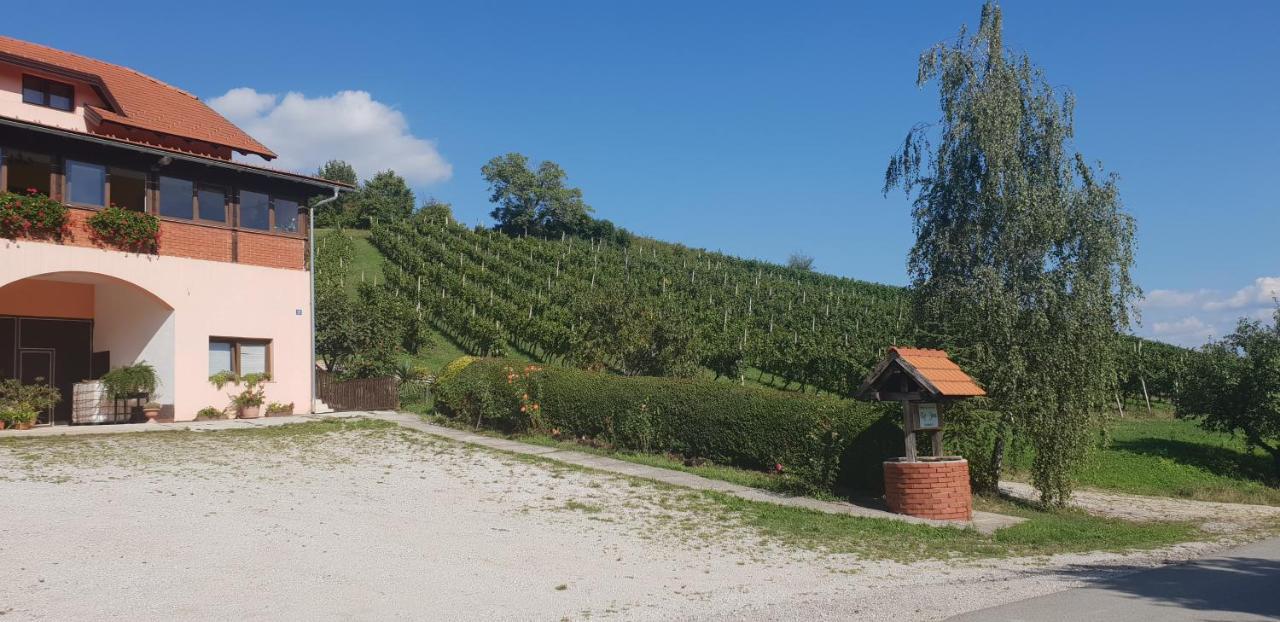 Klet Jana Bed & Breakfast Jasztrebarszka Kültér fotó