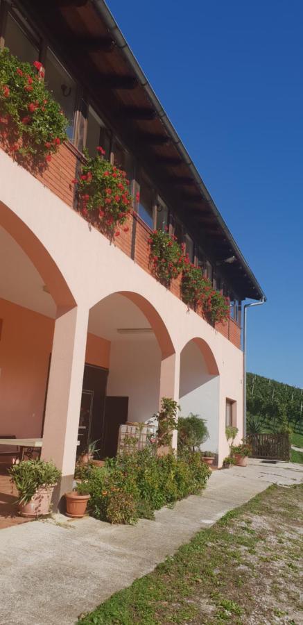 Klet Jana Bed & Breakfast Jasztrebarszka Kültér fotó