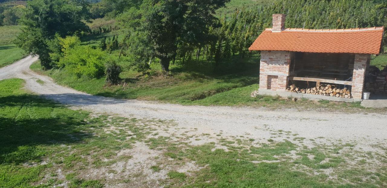 Klet Jana Bed & Breakfast Jasztrebarszka Kültér fotó