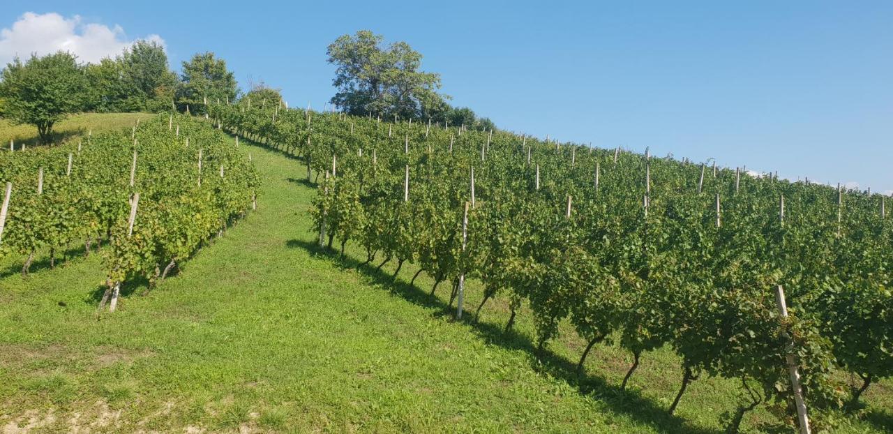 Klet Jana Bed & Breakfast Jasztrebarszka Kültér fotó